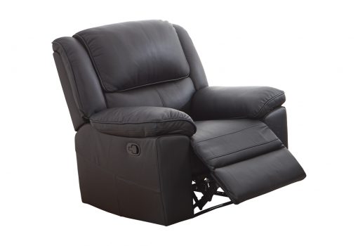 Ibis Leather Recliner