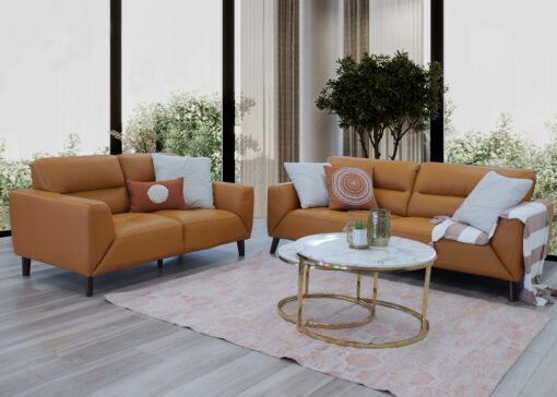 Sonoma Sofa Pair