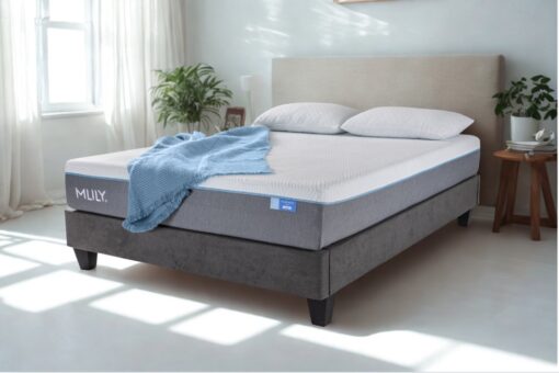 Polar Wave (3 feels)