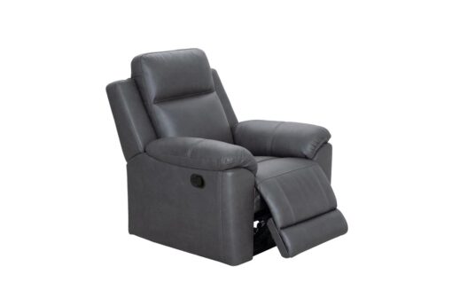 Sussex Electric Recliner
